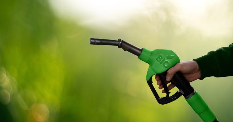 American Shift in Favor of Biofuels