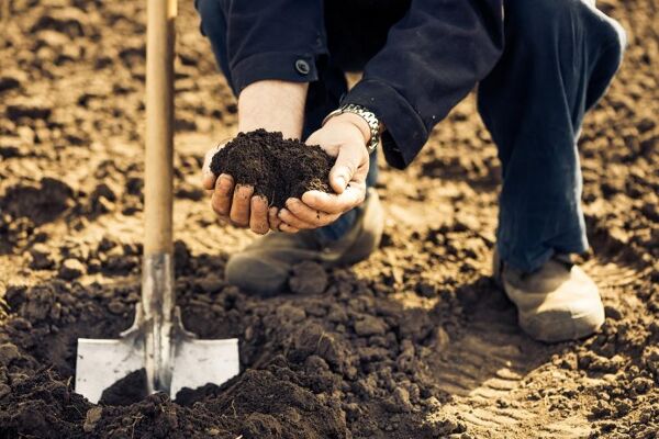 Biofertilizers, a sustainable Chinese agricultural revolution