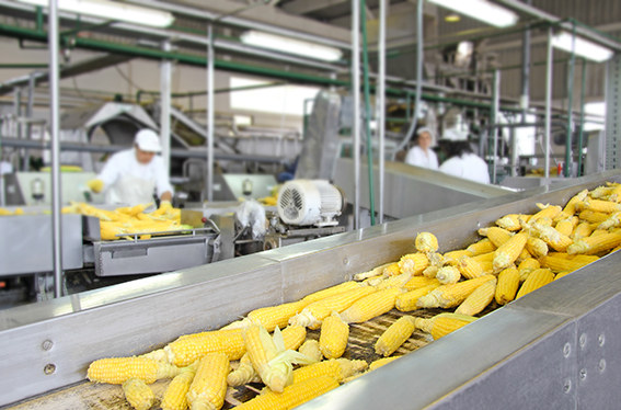Augmenter de 45% la production agroalimentaire africaine