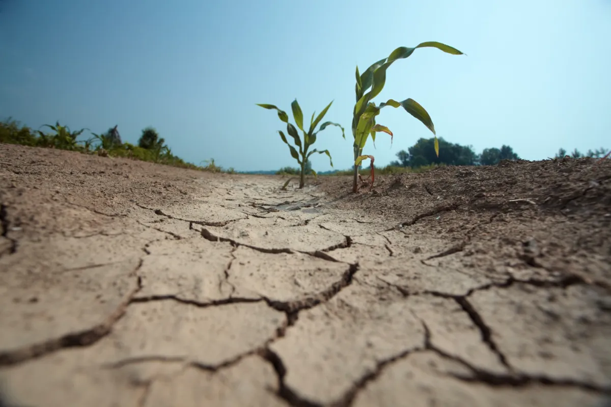 Severe droughts spread around the world
