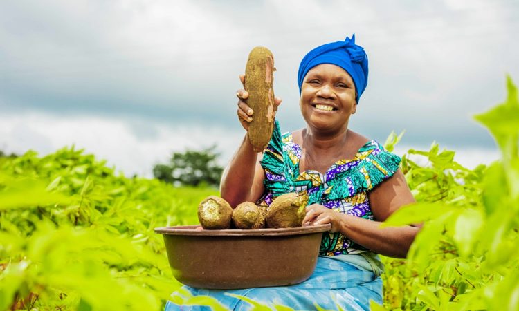L’Agenda de Kampala veut révolutionner l’agriculture africaine