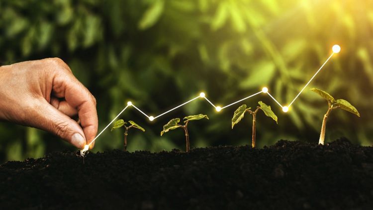 Bioéconomie, biodiversité et qualité des sols