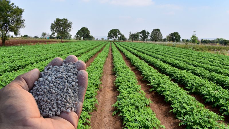Brussels Wants to Halt the Import of Russian Nitrogen Fertilizers