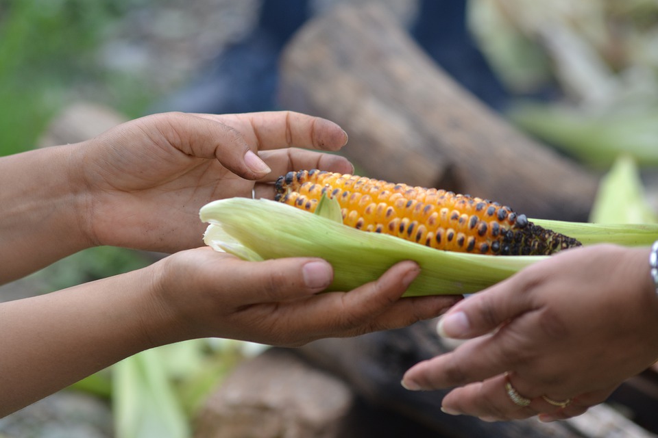 Trump administration maintains food aid program for poor countries