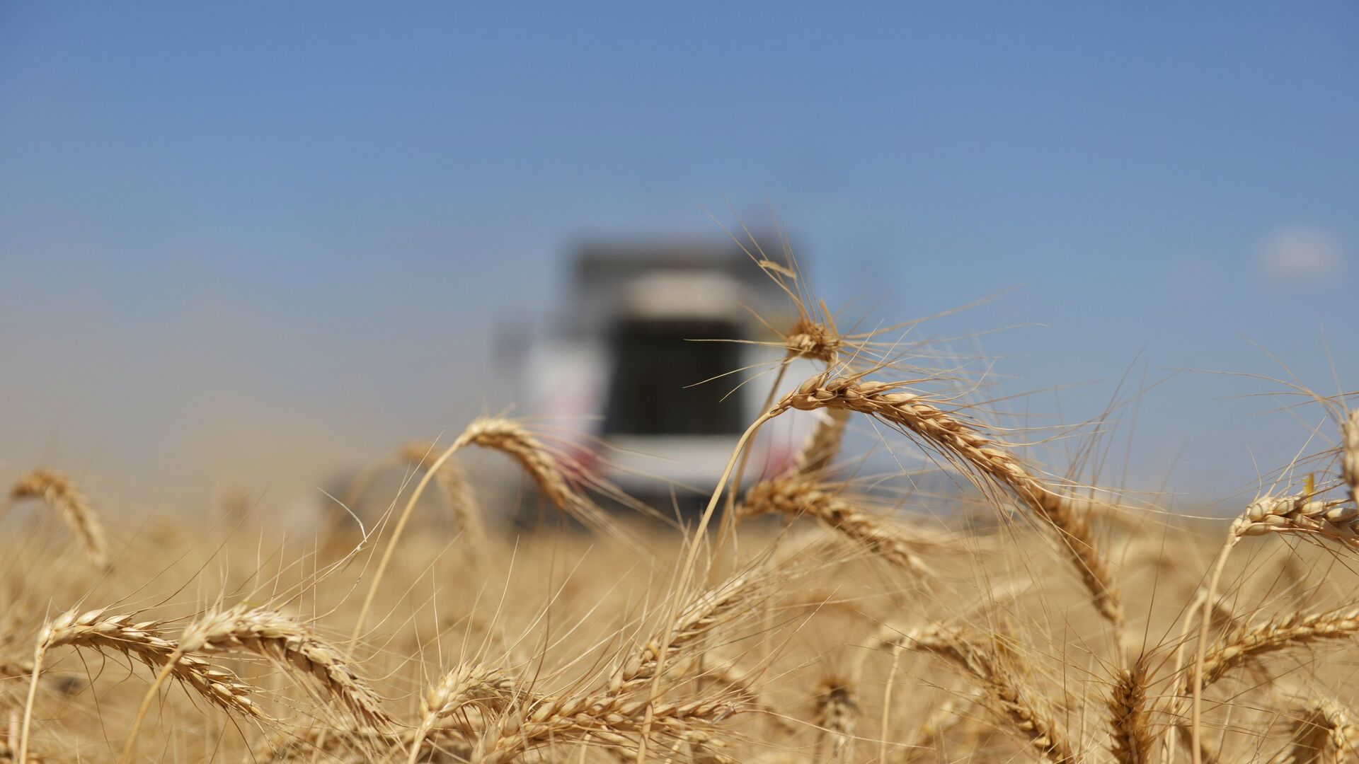 Les exportations agroalimentaires russes vers l’Afrique en augmentation de 19%