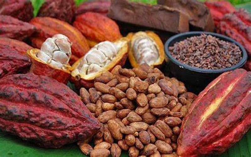 Le marché mondial du cacao sera excédentaire en 2024/2025