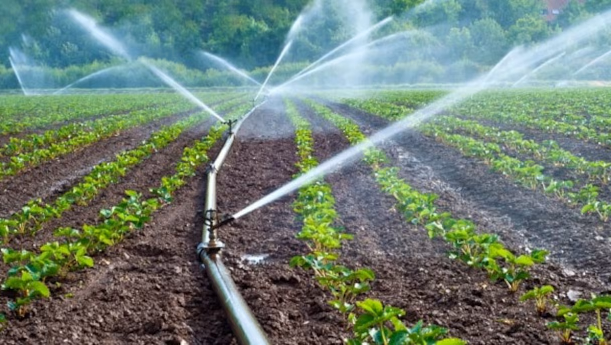La Déclaration de Dakar sur l’irrigation des terres sahéliennes