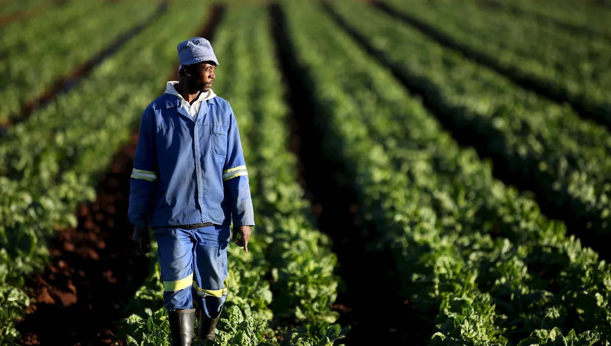 Post-Malabo Policies Threaten Africa's Smallholder Farmers