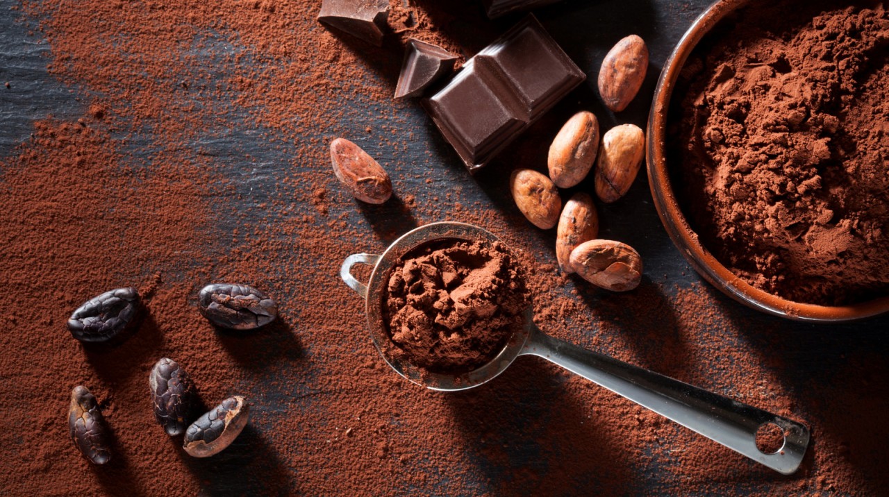 The global cocoa market more resilient than expected