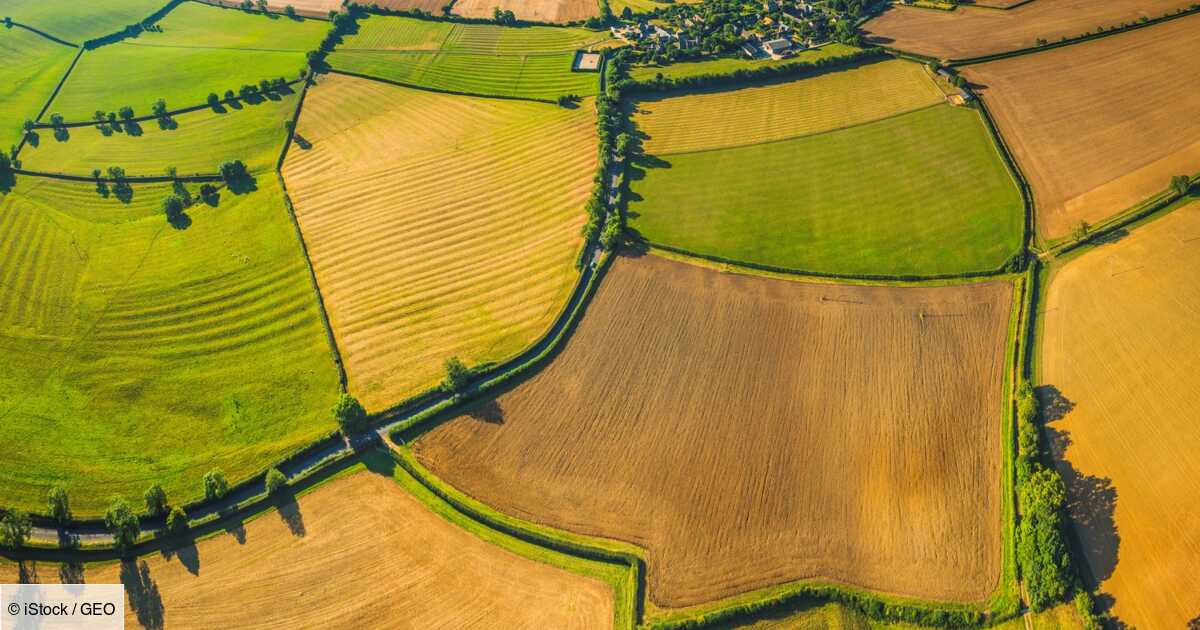 The largest American landowner owns nearly a million hectares