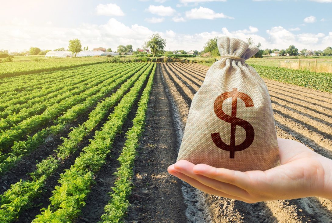 The difficulty of financing agriculture in emerging countries
