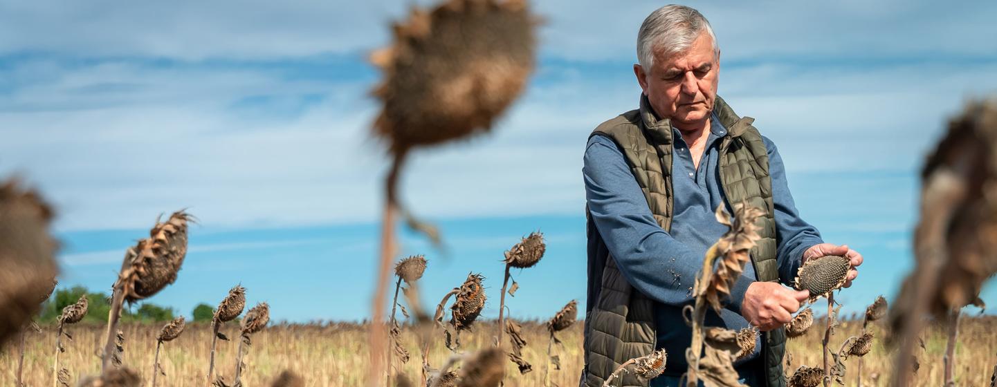 FAO comes to the rescue of Ukrainian farmers