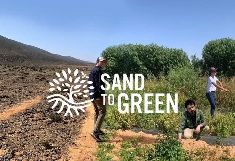 Sand to Green